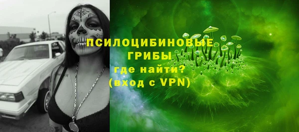 прущая мука Арсеньев