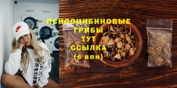 PSILOCYBIN Балабаново