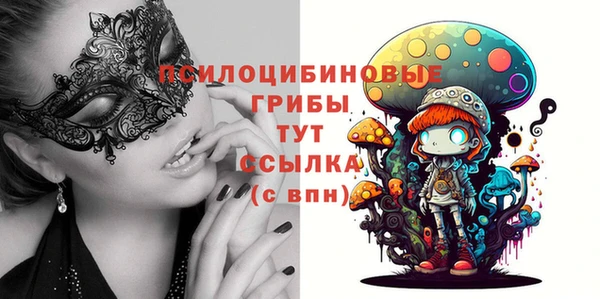 прущая мука Арсеньев
