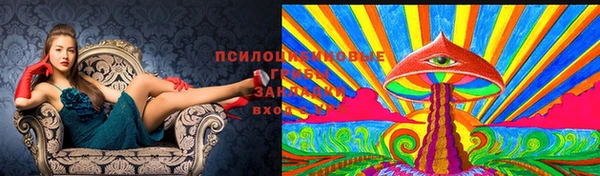 a pvp Армянск