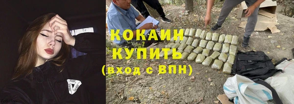 прущая мука Арсеньев