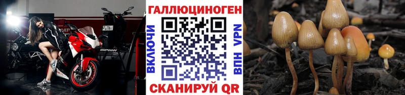 Псилоцибиновые грибы Magic Shrooms  Лесосибирск 